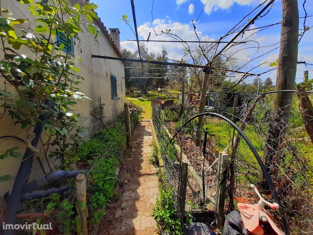 Quintinha - Grande imagem: 5/14