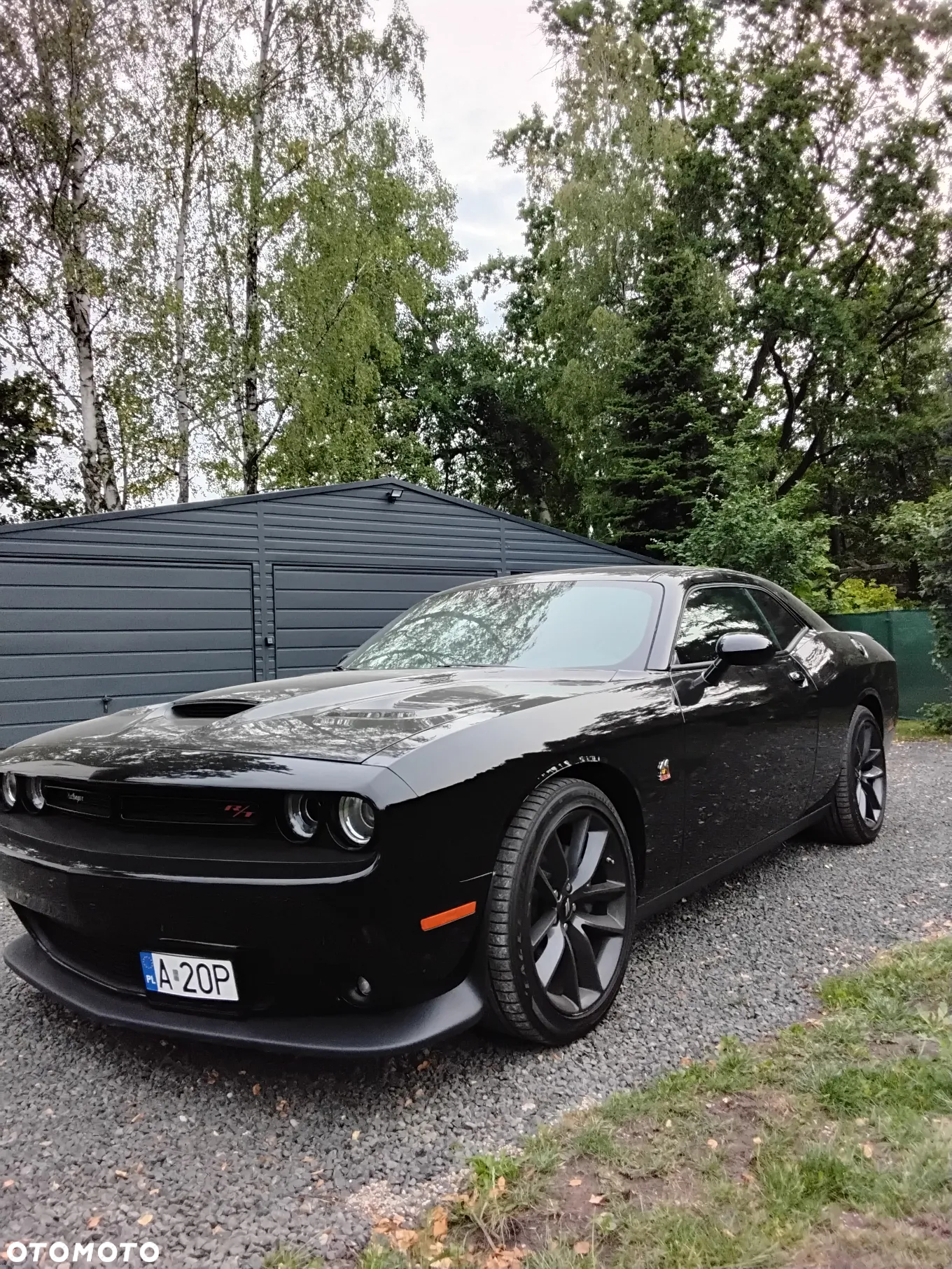 Dodge Challenger 6.4 Scat Pack - 4