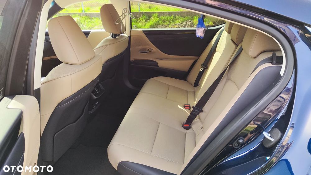 Lexus ES 300h Elegance - 12