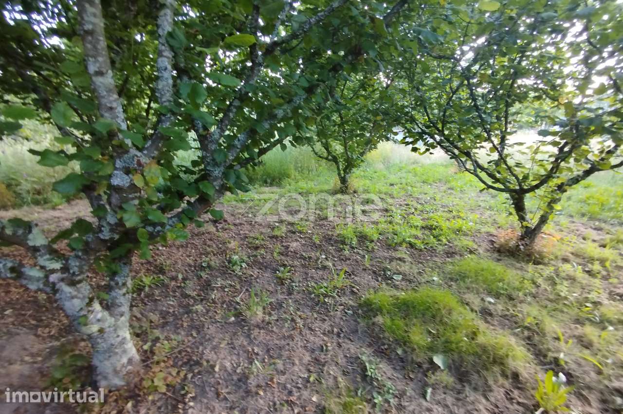 Terreno, 1 538 m², Viseu - Grande imagem: 5/18