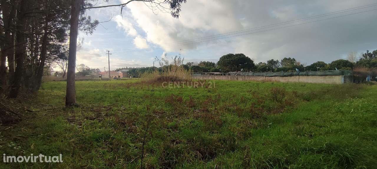 Terreno para construção na Moita, Marinha Grande - Grande imagem: 2/3