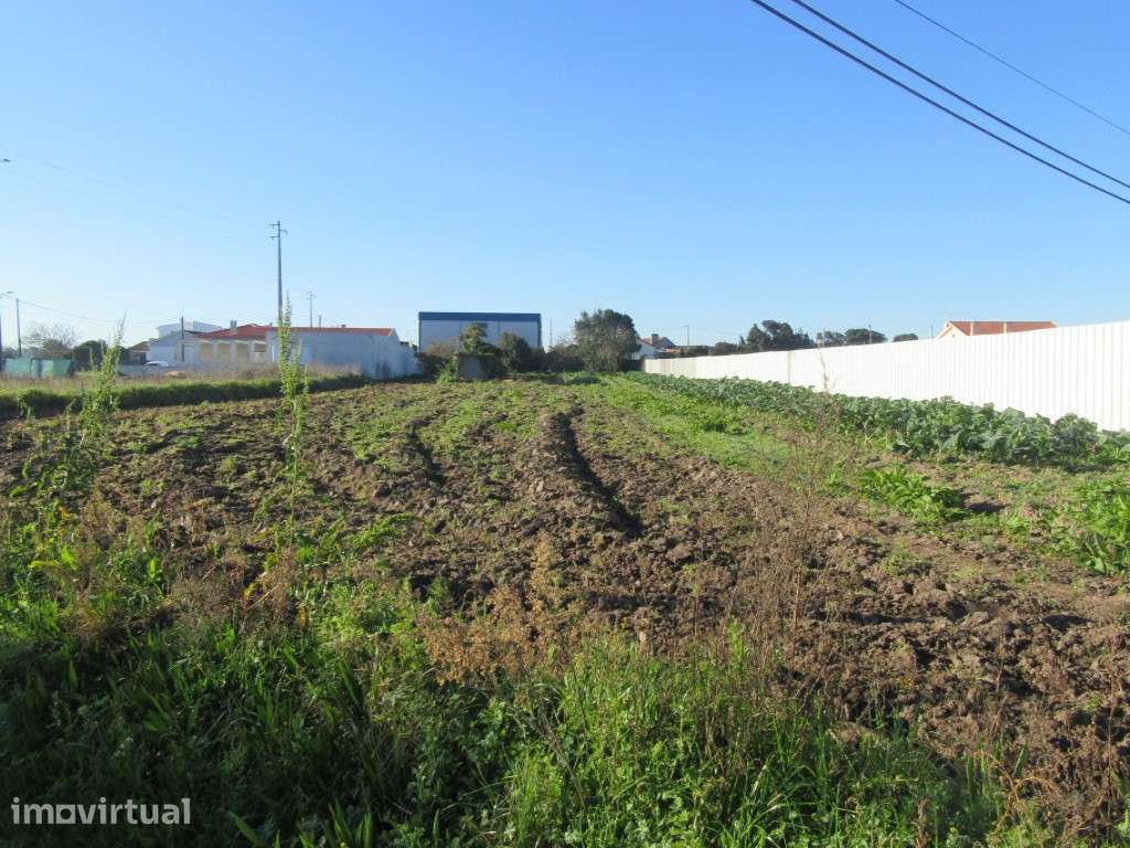 Terreno para construção na zona de Monte Real - Carvide - Grande imagem: 2/3