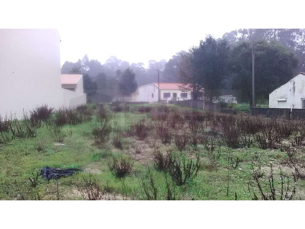 Terreno urbano - Esgueira - Grande imagem: 3/3