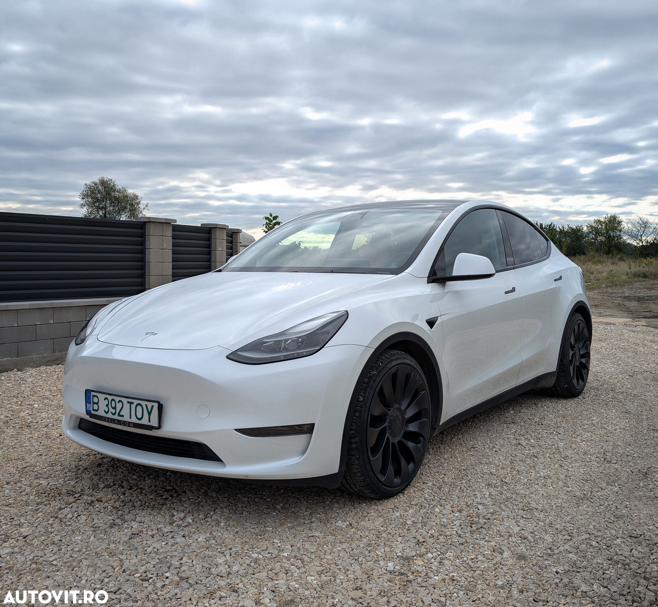 Tesla Model Y Performance - 1