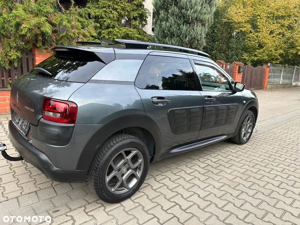 Citroën C4 Cactus 1.6 Blue HDi Shine - 12