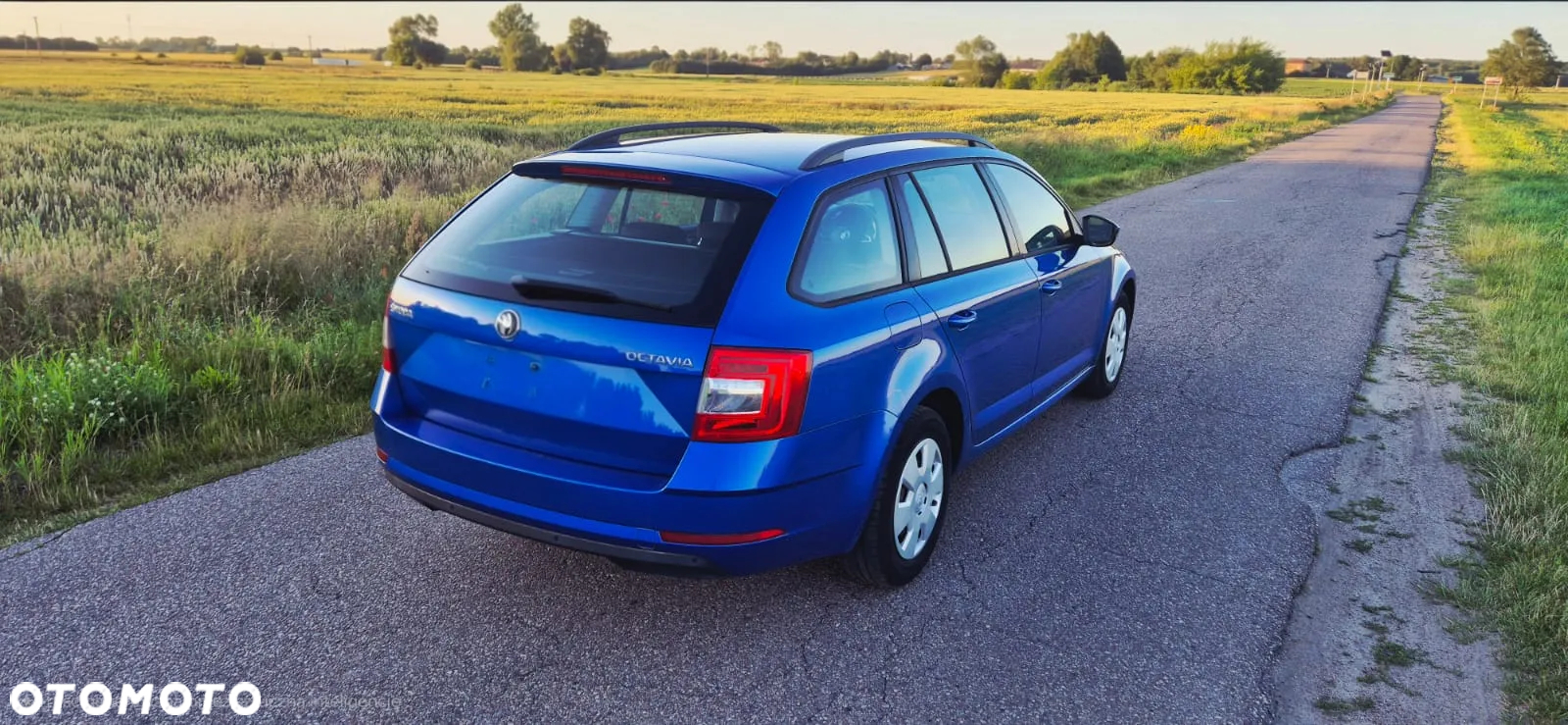 Skoda Octavia 1.6 TDI Active EU6 - 6