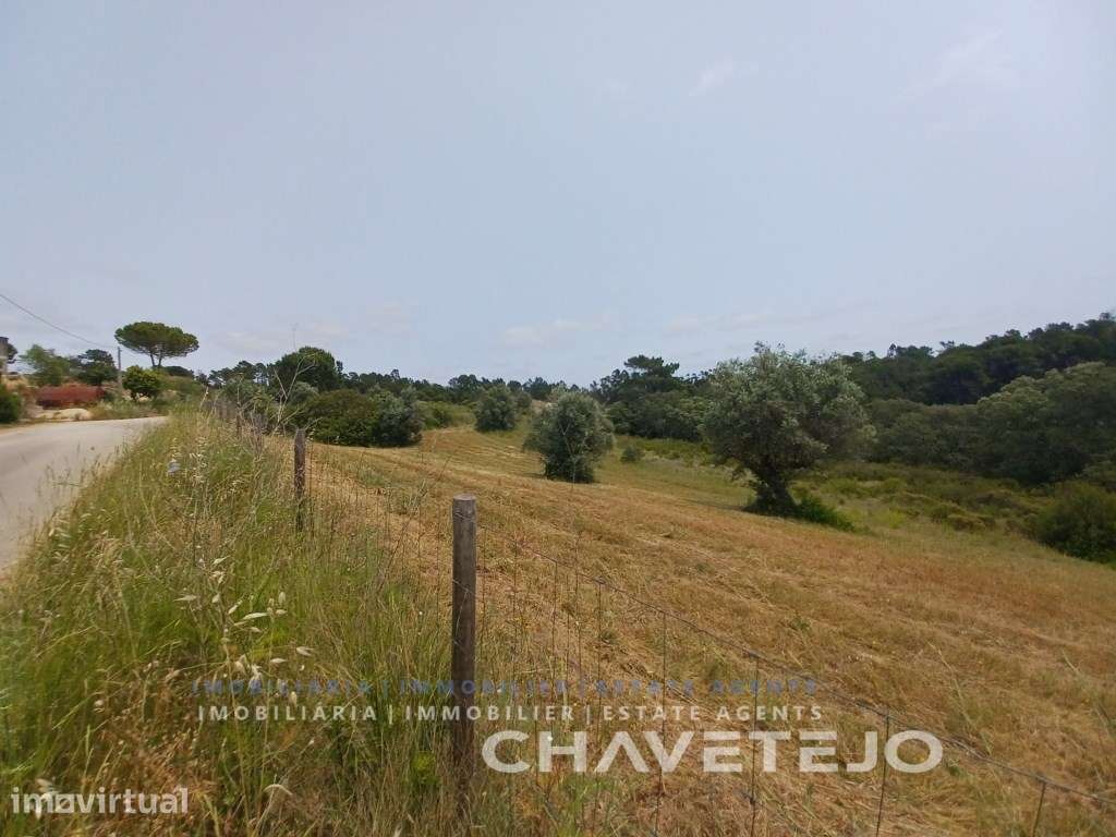 Terreno com 28.000 m2 a cerca de 8 km de Tomar. - Grande imagem: 5/7