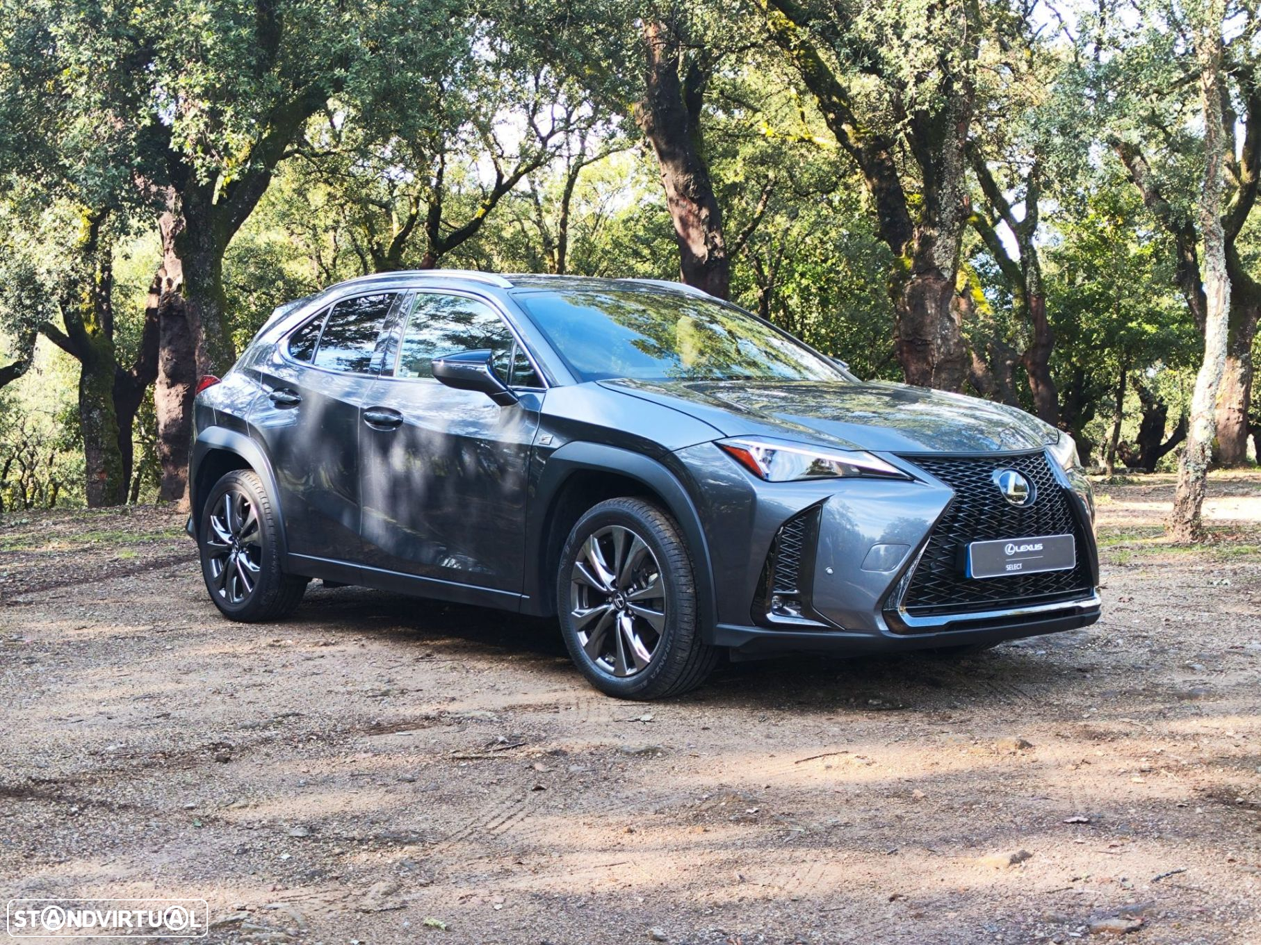 Lexus ux-250h Sport (Ecrã 12.3) - 3