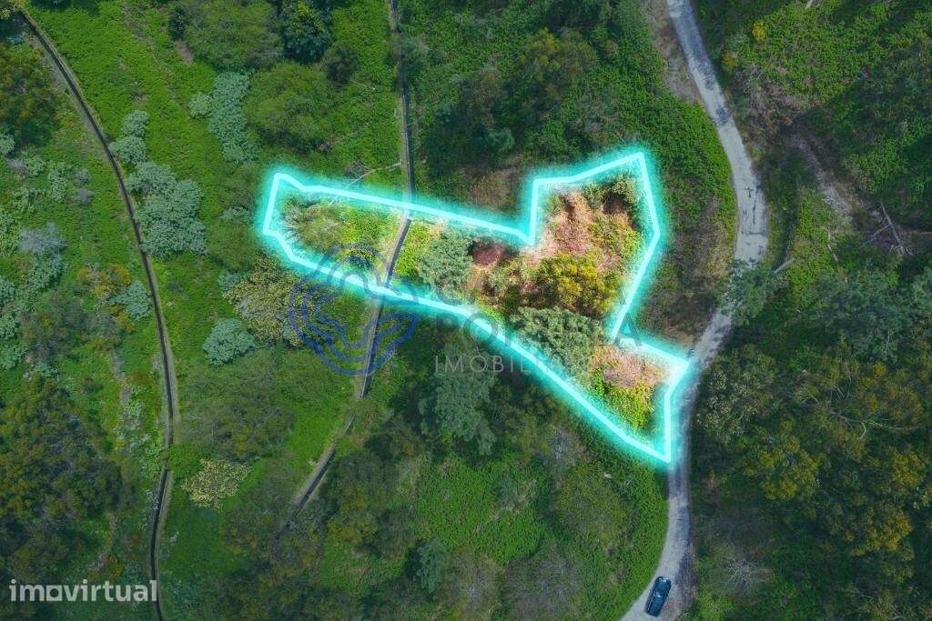 Terreno Rústico em Zona Natural e Agrícola — Freguesia de Santa Cruz, - Grande imagem: 3/15