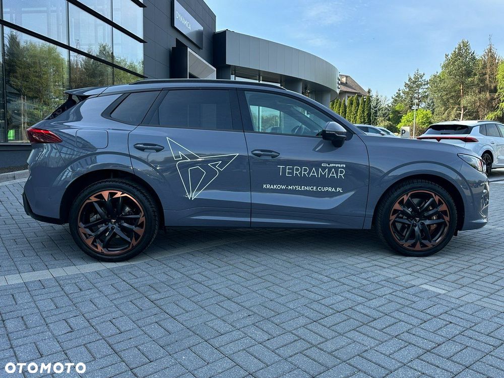 Cupra Terramar - 4