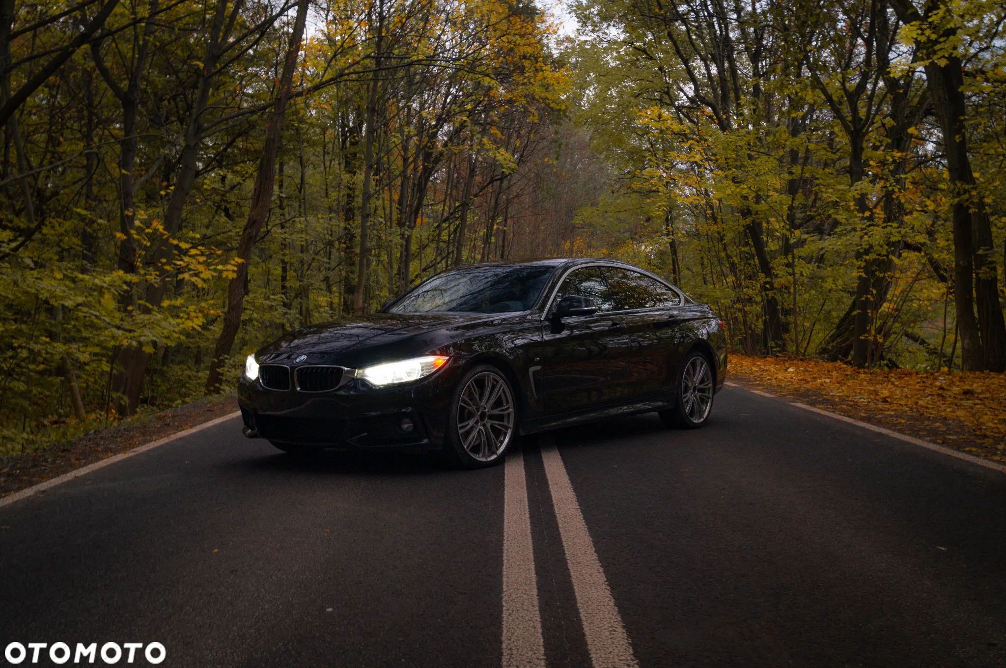 BMW Seria 4 430i xDrive Sport - 2