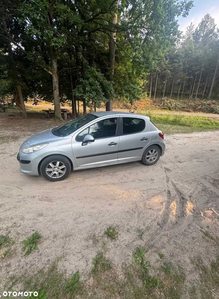 Peugeot 207 - 5