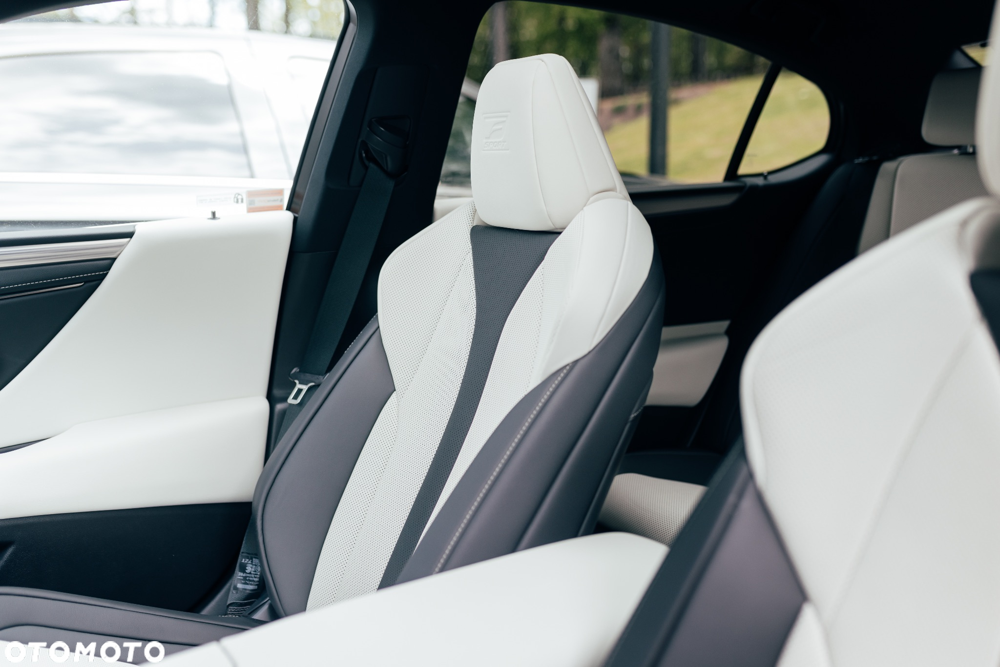 Lexus ES 300h F Sport Edition - 2