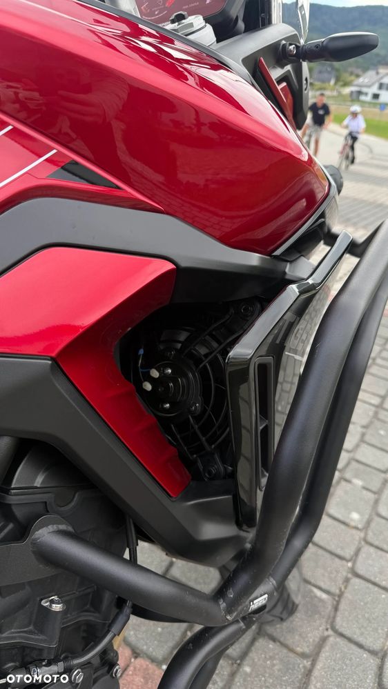 Triumph Tiger - 20