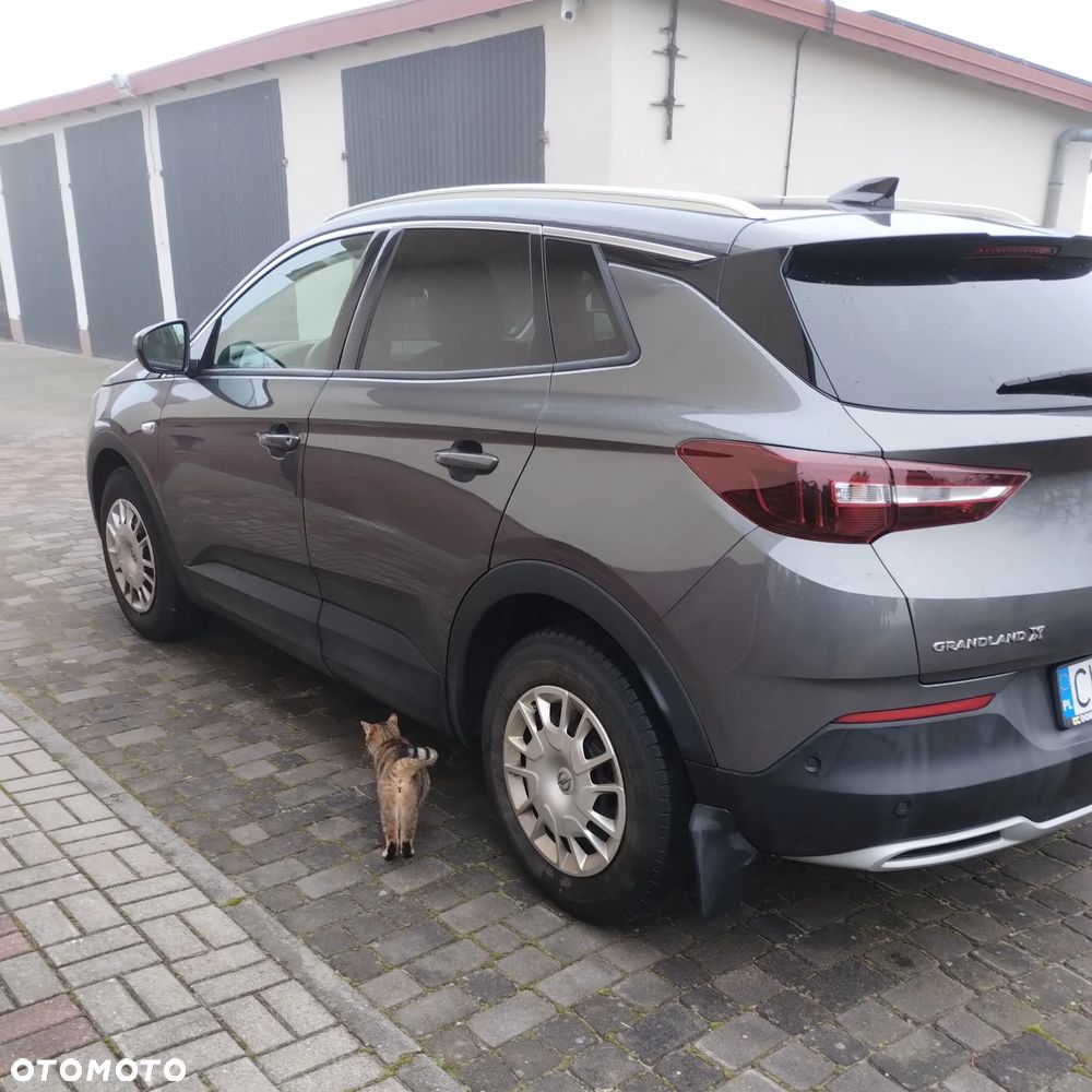 Opel Grandland X - 5