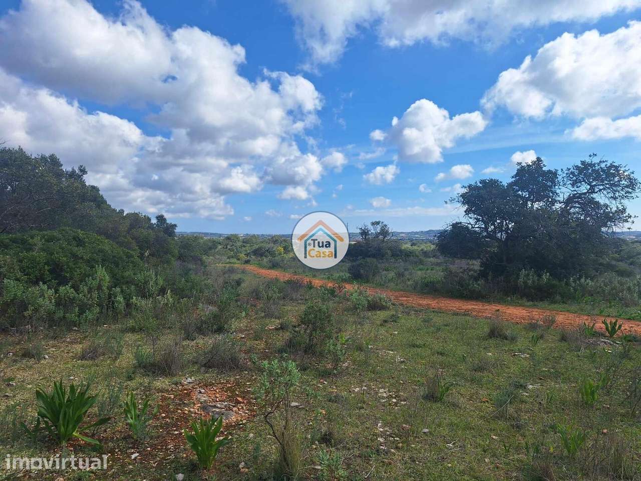 Terreno com ruína no Medronhal na freguesia de Santa Barbara de Nexe d - Grande imagem: 2/15
