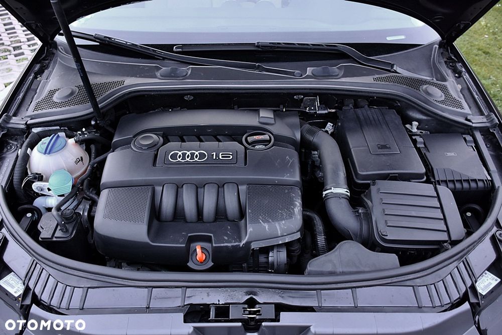 Audi A3 Sportback 1.6 Ambition - 24