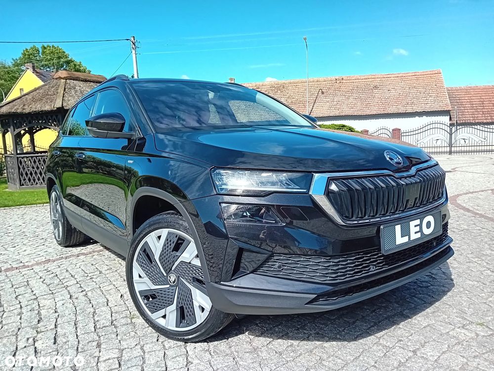 Skoda Karoq - 12