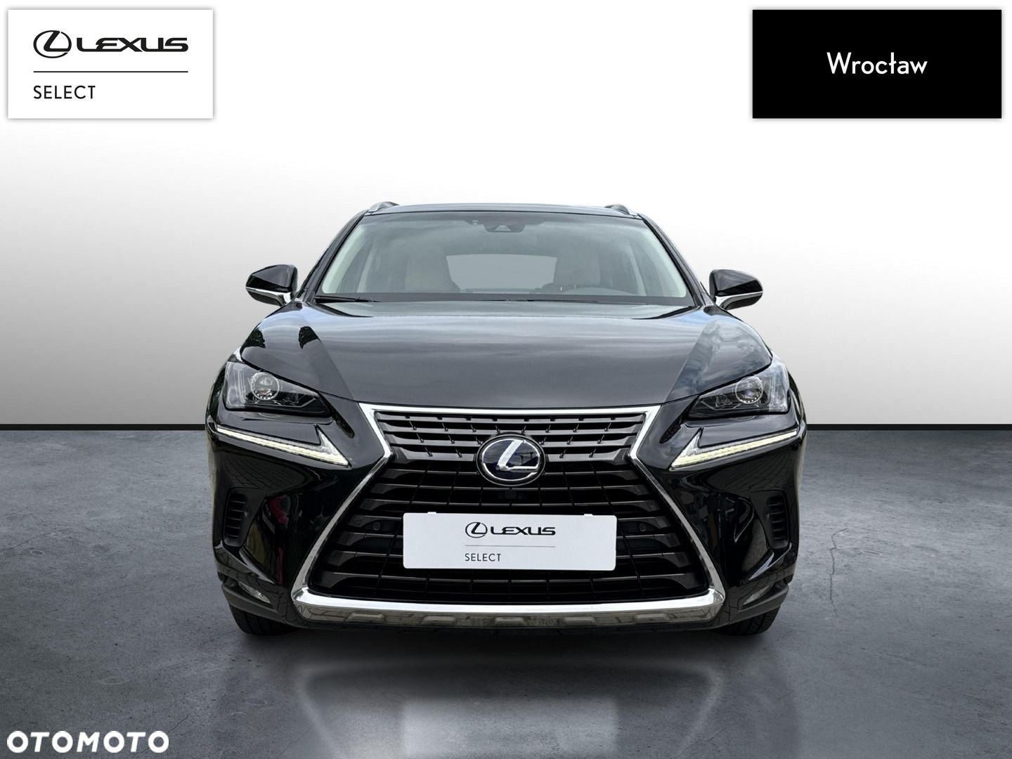Lexus NX - 8