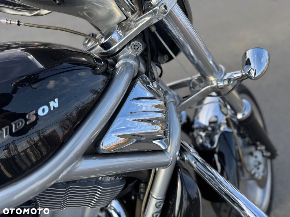 Harley-Davidson Softail V-Rod - 14