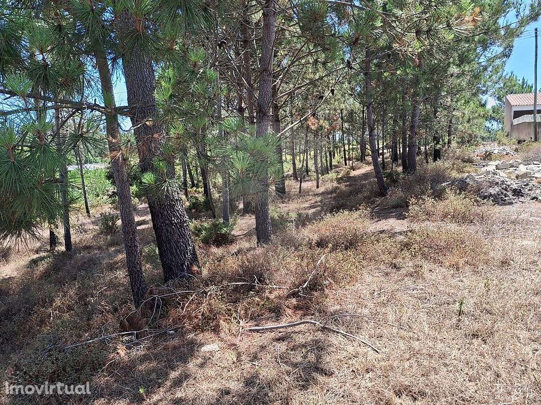 Terreno  para venda - Grande imagem: 4/8