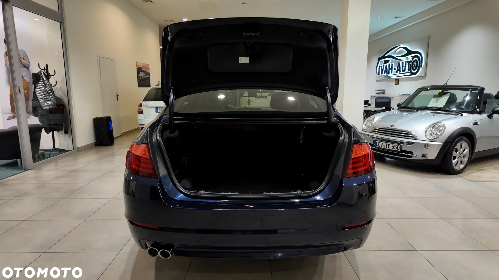 BMW Seria 5 520d - 39