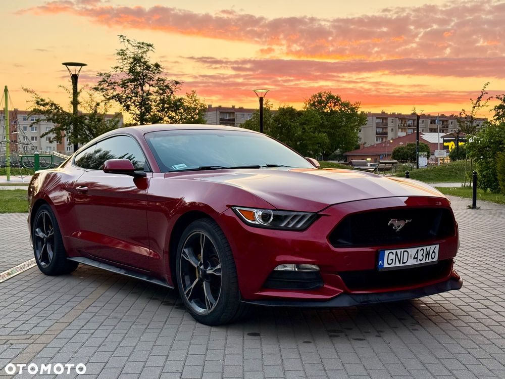 Ford Mustang - 1