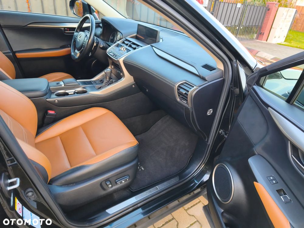 Lexus NX - 15