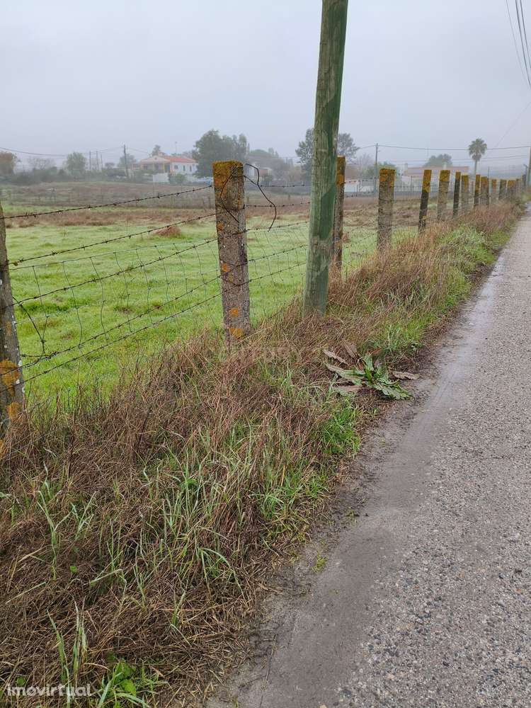Terreno com área de 10.368 m2, situado na Rua da Casinha Norte: zona s - Grande imagem: 3/18