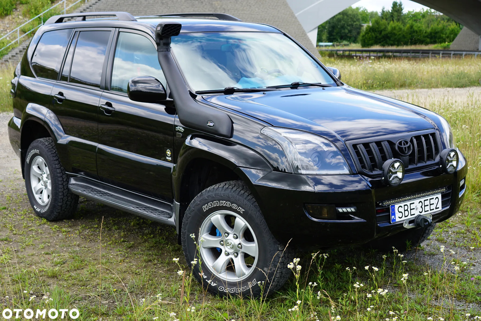 Toyota Land Cruiser - 3
