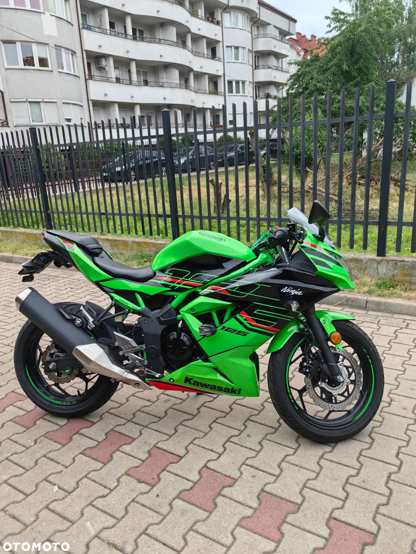 Kawasaki Ninja - 1