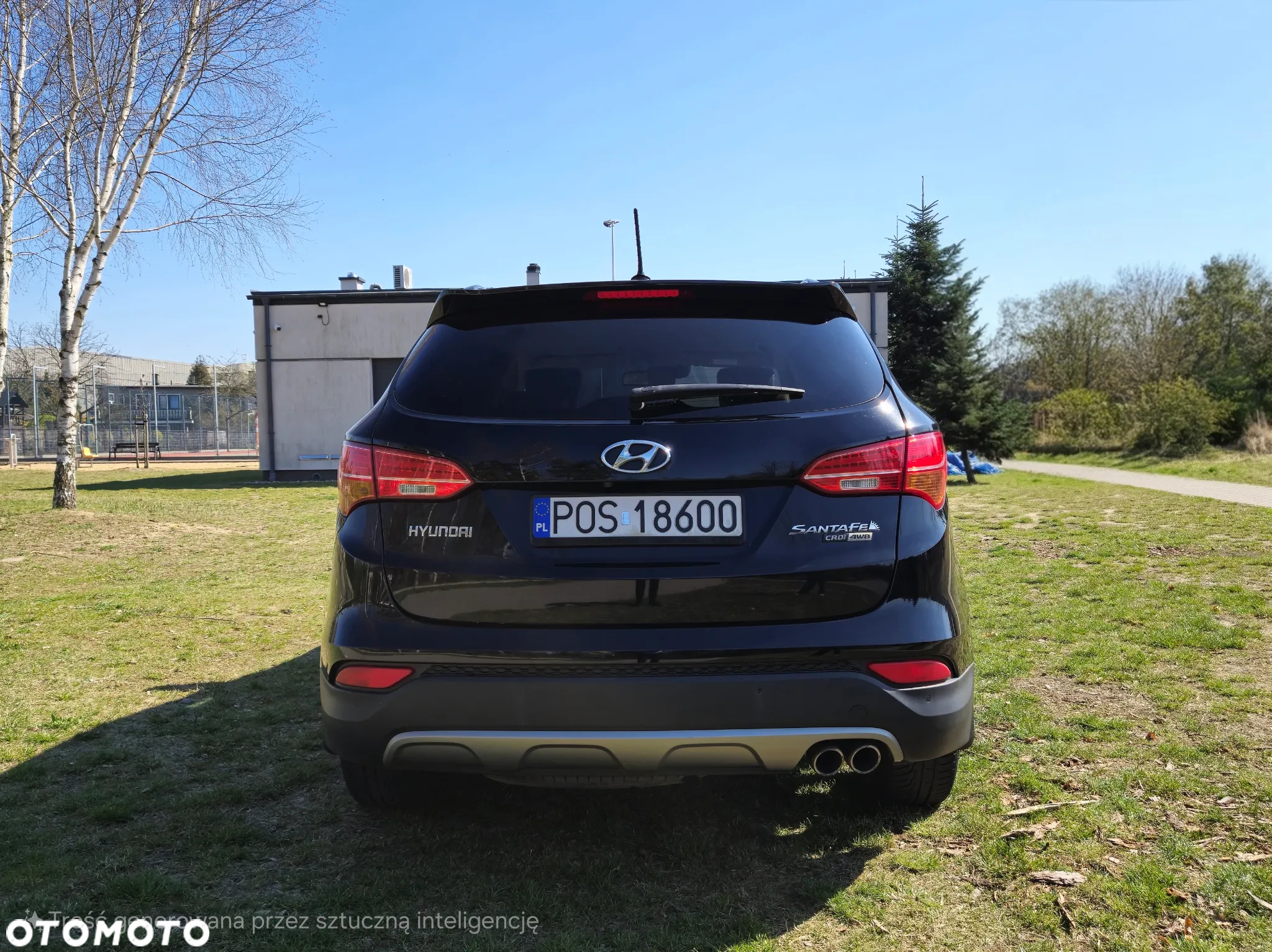 Hyundai Santa Fe 2.2 CRDi Executive - 7