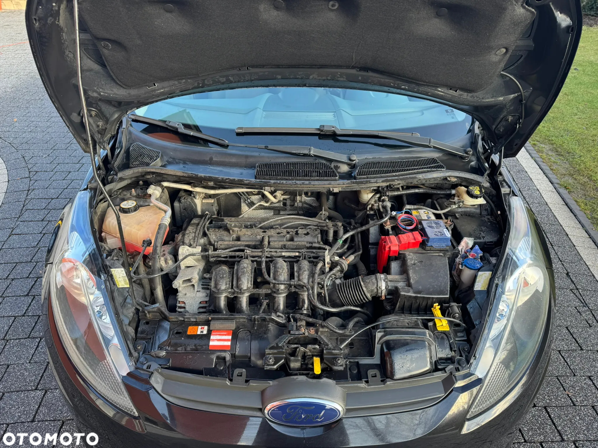 Ford Fiesta 1.25 Ambiente EU5 - 8