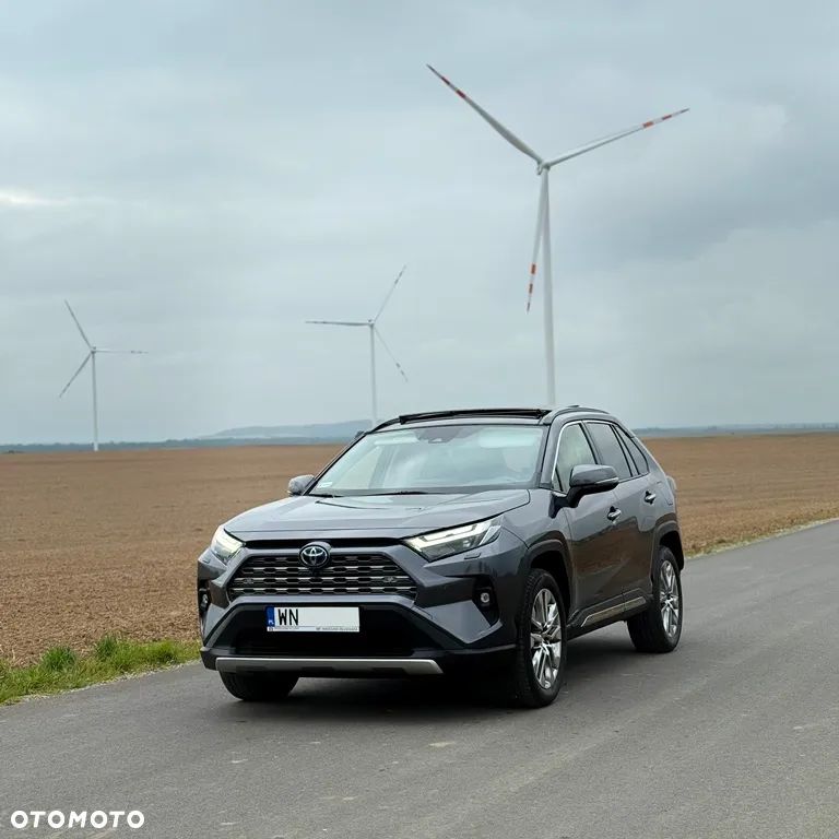 Toyota RAV4 2.5 Hybrid Executive 4x4 - 22
