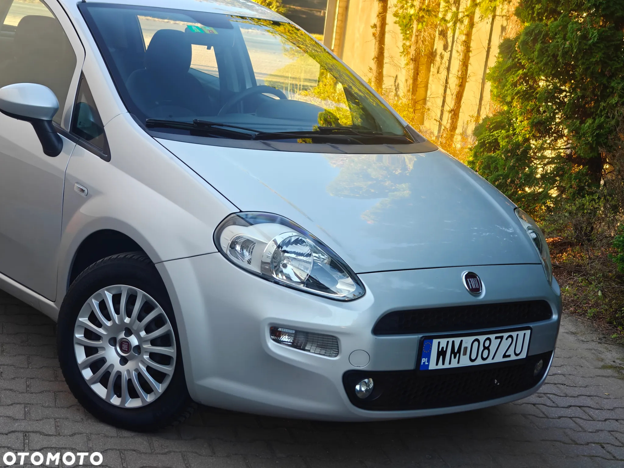 Fiat Punto - 8