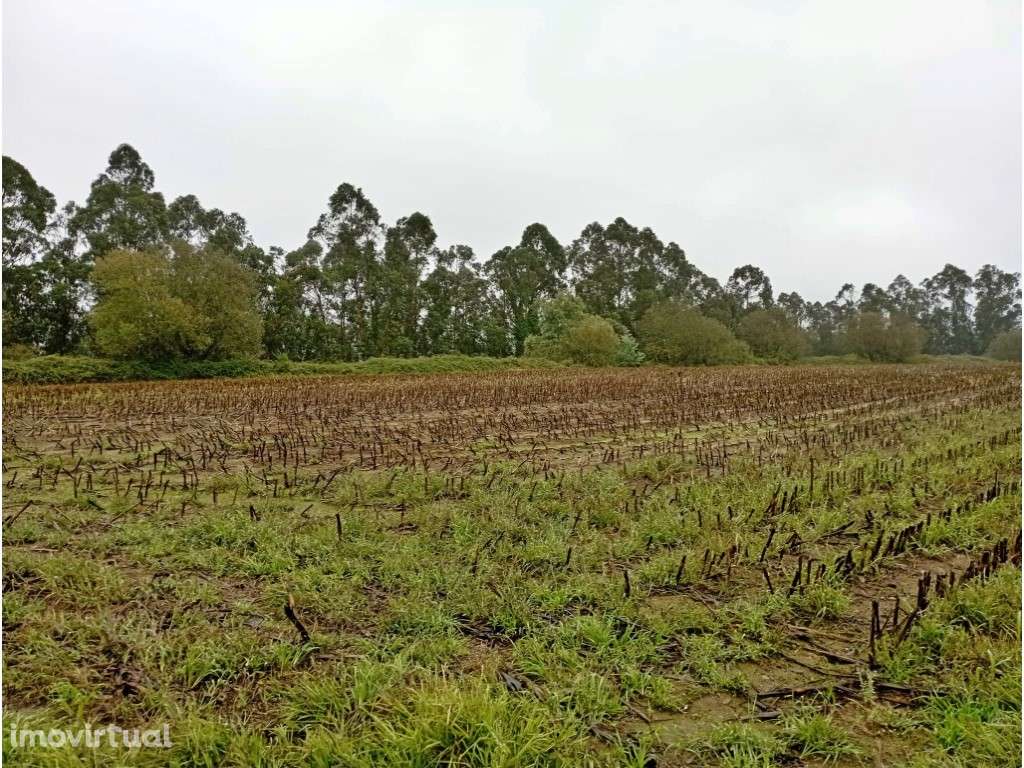 Terreno industrial em Covelas - Grande imagem: 2/5