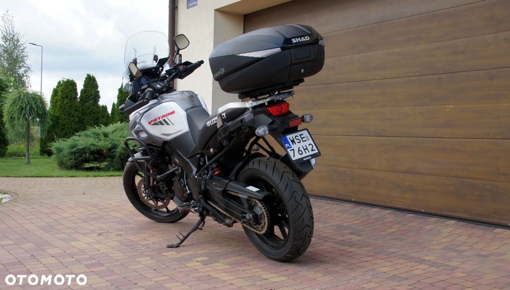 Suzuki DL - 11