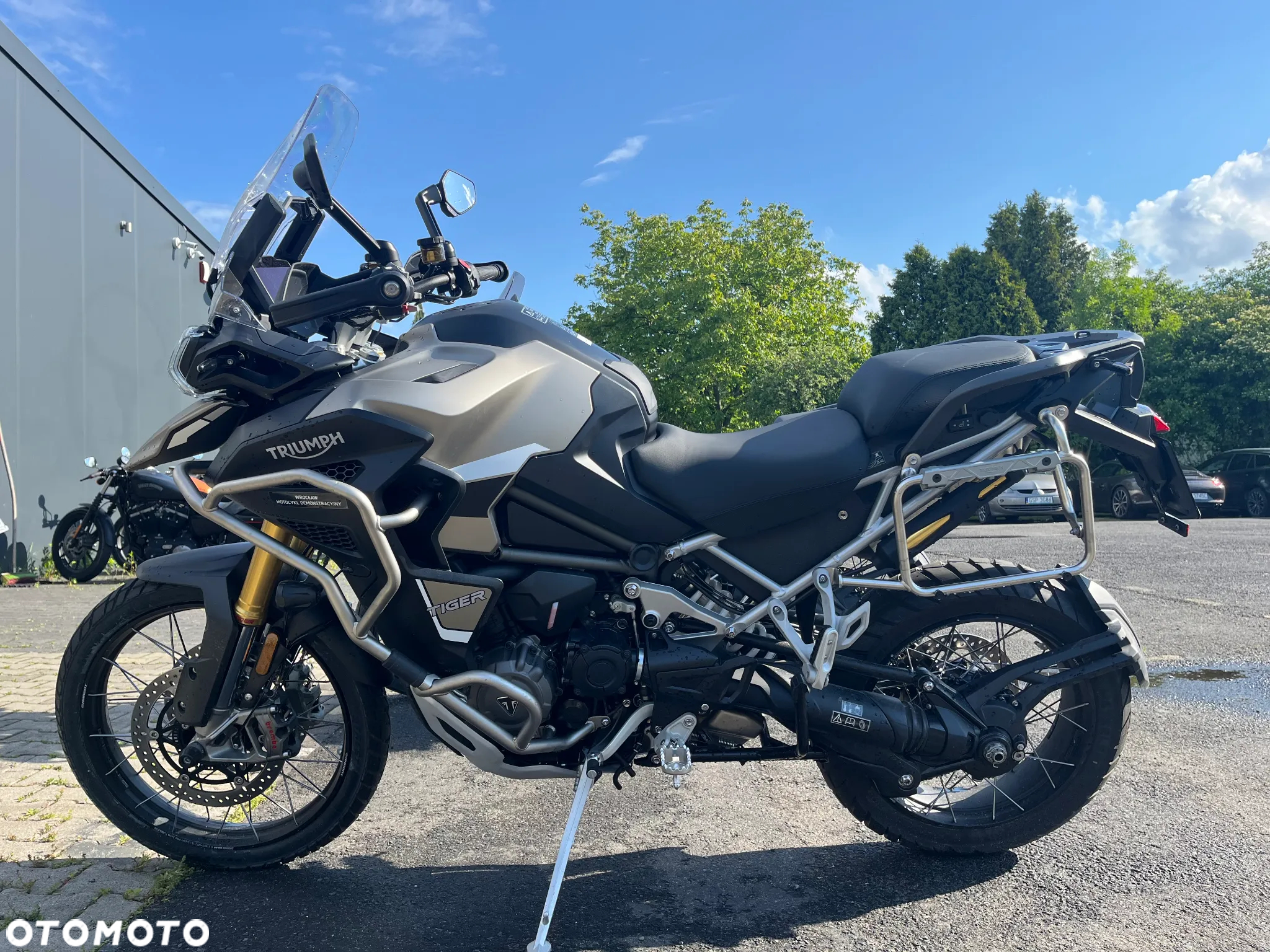 Triumph Tiger - 6