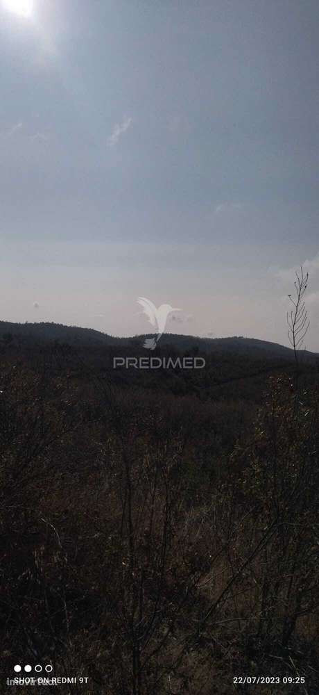 Terreno Rústico "Cerro da Gruta" em Odemira. - Grande imagem: 4/17