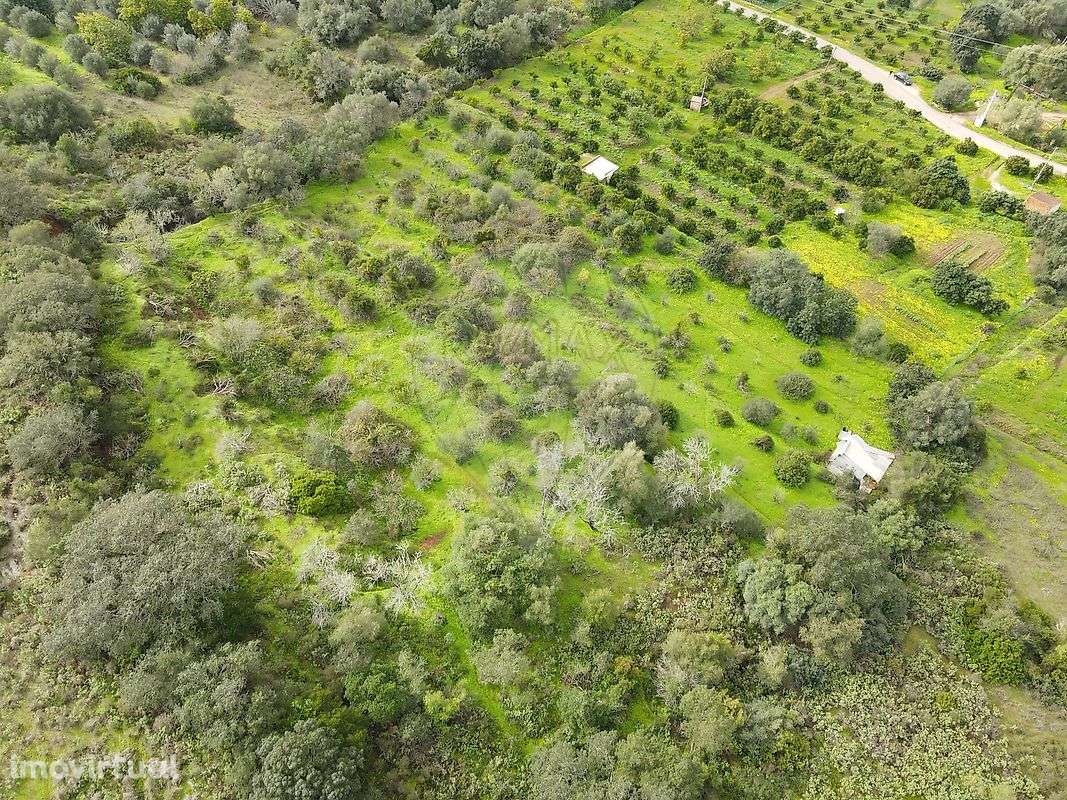 Terreno  para venda - Grande imagem: 5/10