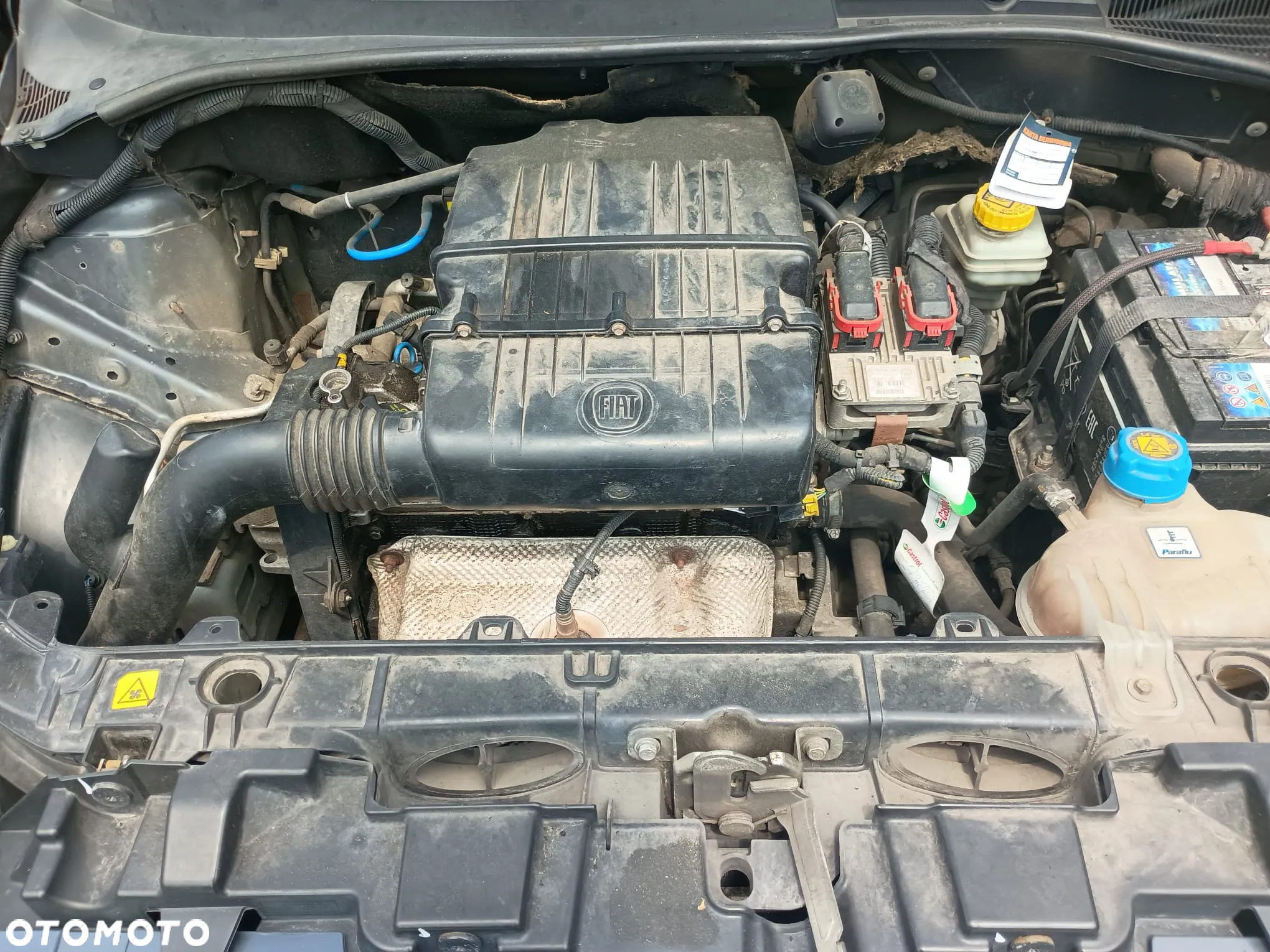 Fiat Punto 1.2 8V Classic - 18