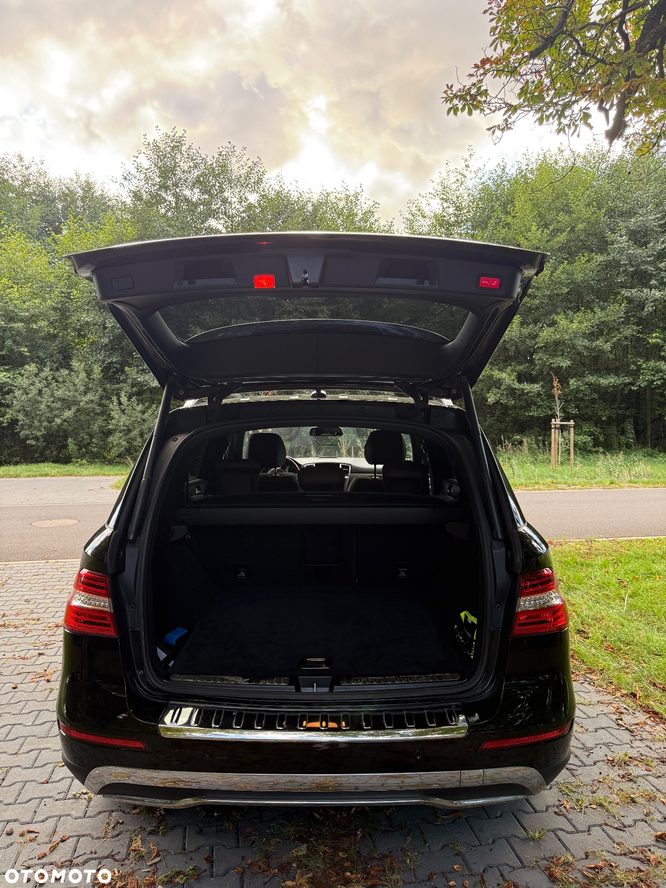 Mercedes-Benz ML 350 BlueTec 4-Matic - 17