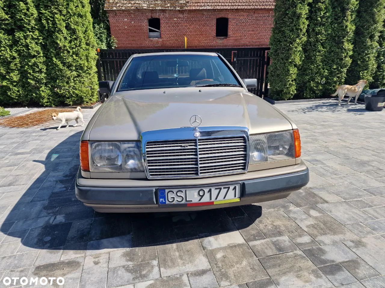 Mercedes-Benz W124 (1984-1993) - 1