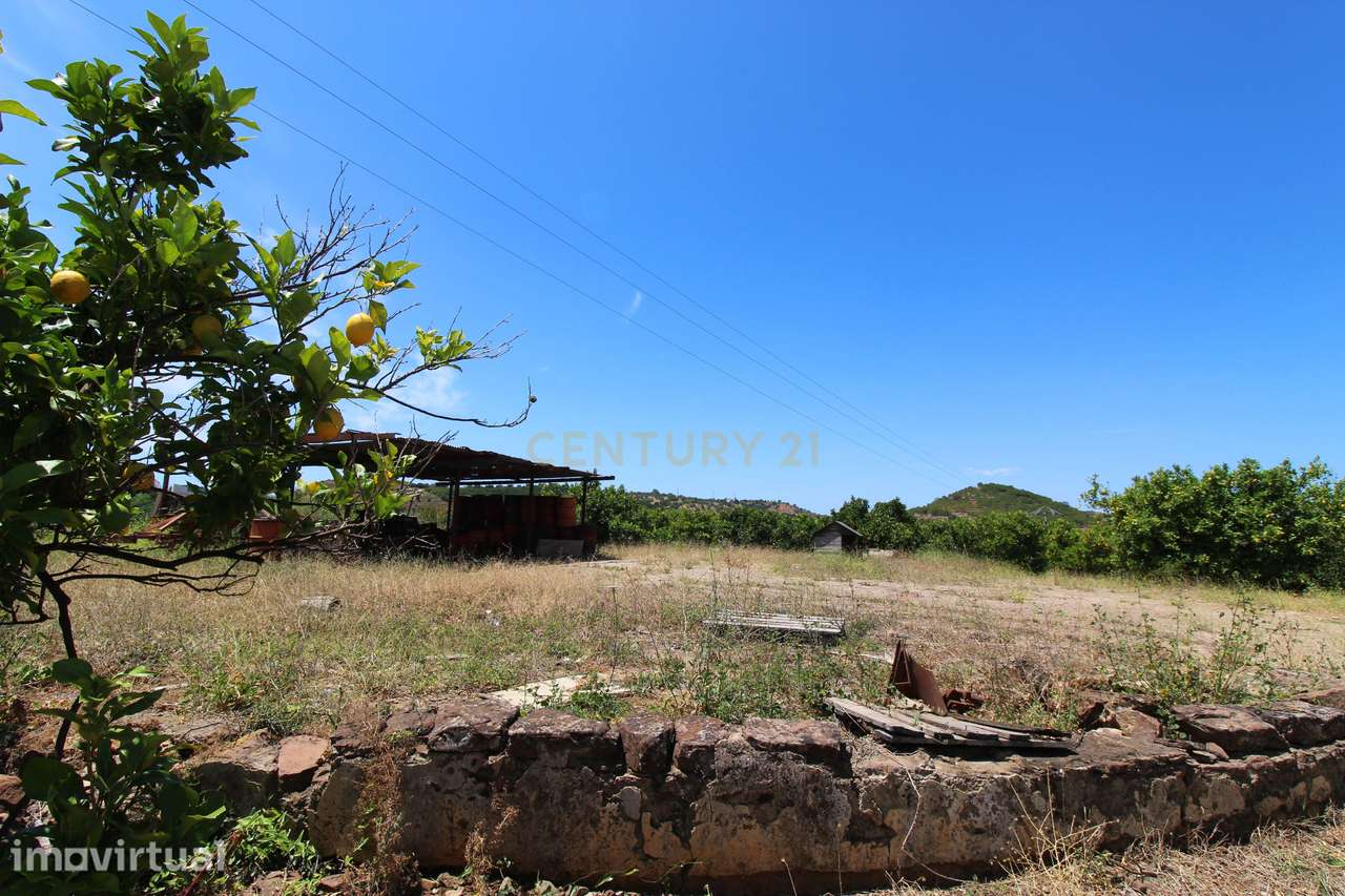 Tavira. Moradia com  implantação de 266 m2 e terreno de 14,5 ha,  em A - Grande imagem: 3/6