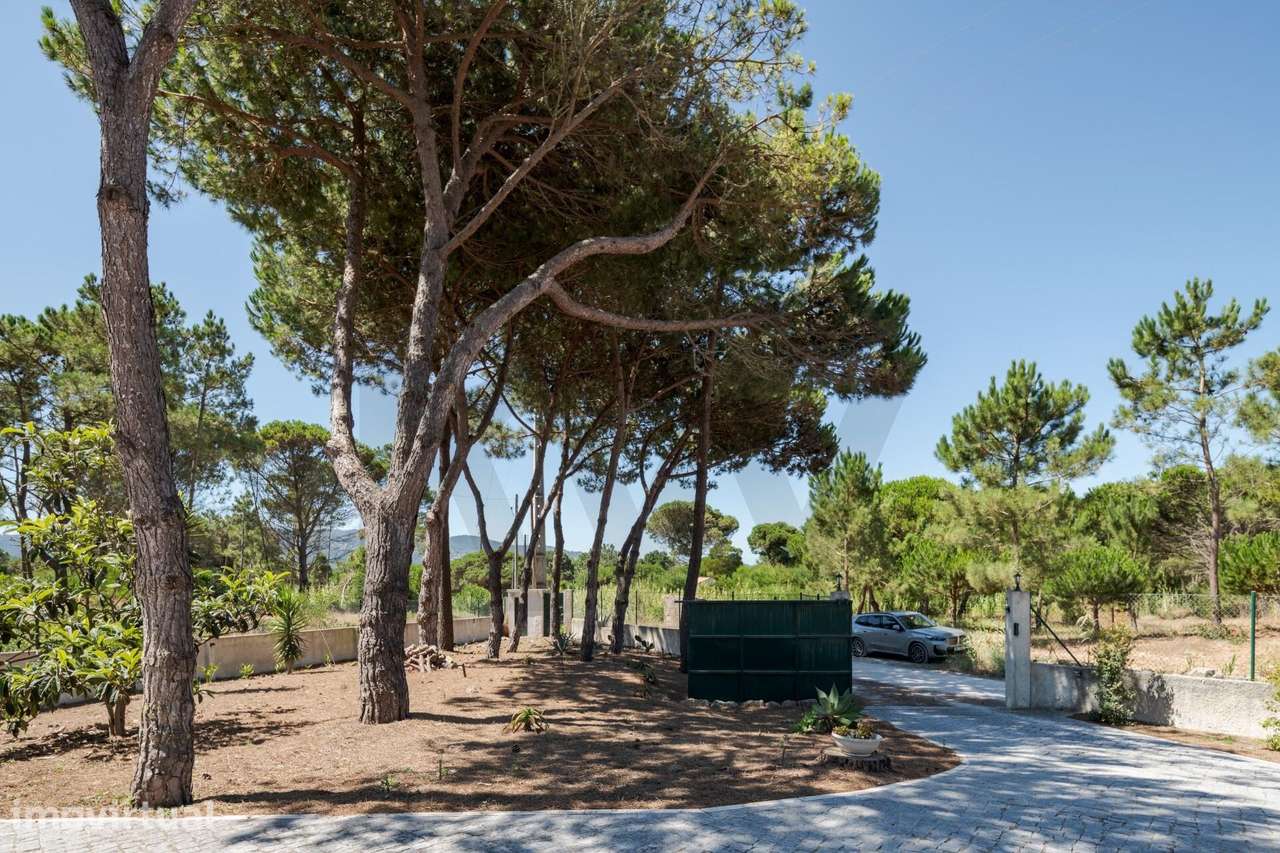 Refúgio Exclusivo no Pinhal das Azenhas do Mar| 2.400 m2 |  800 m da - Grande imagem: 2/39