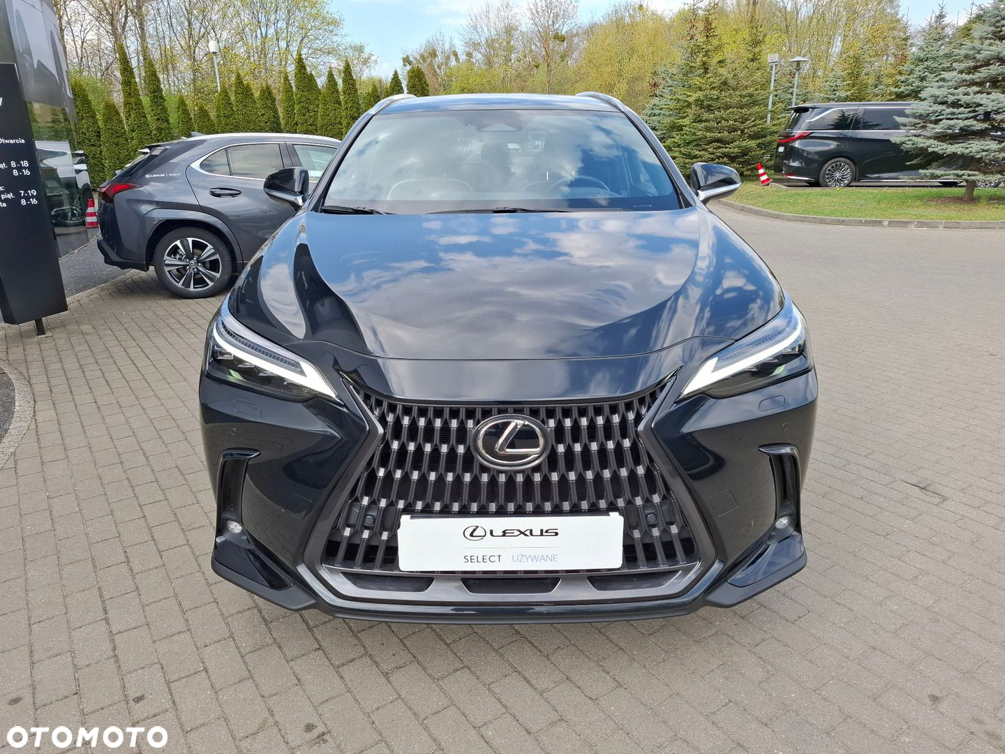 Lexus NX - 8