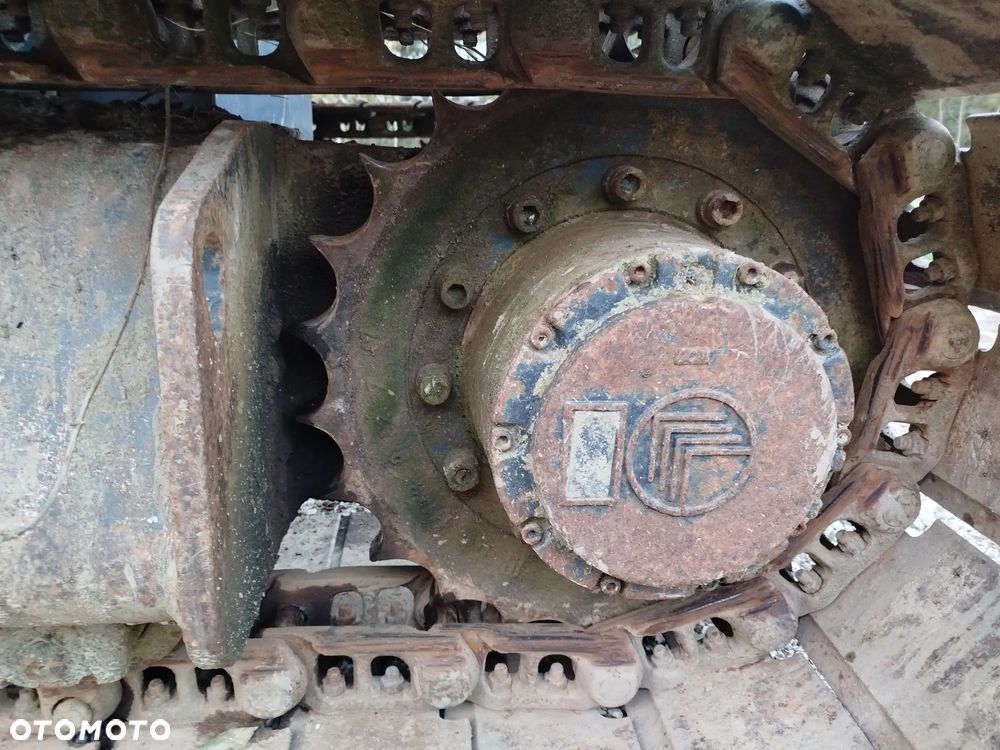 Case 61 błotniak - 25