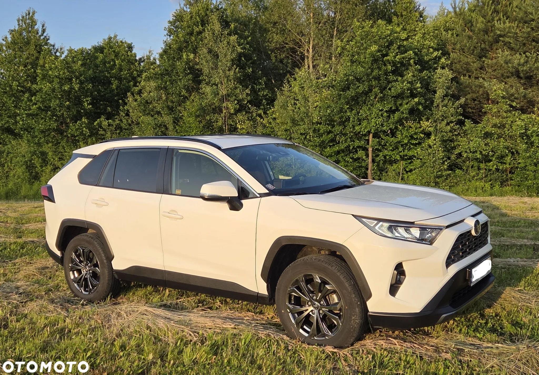 Toyota RAV4 2.5 Hybrid Comfort 4x4 - 2