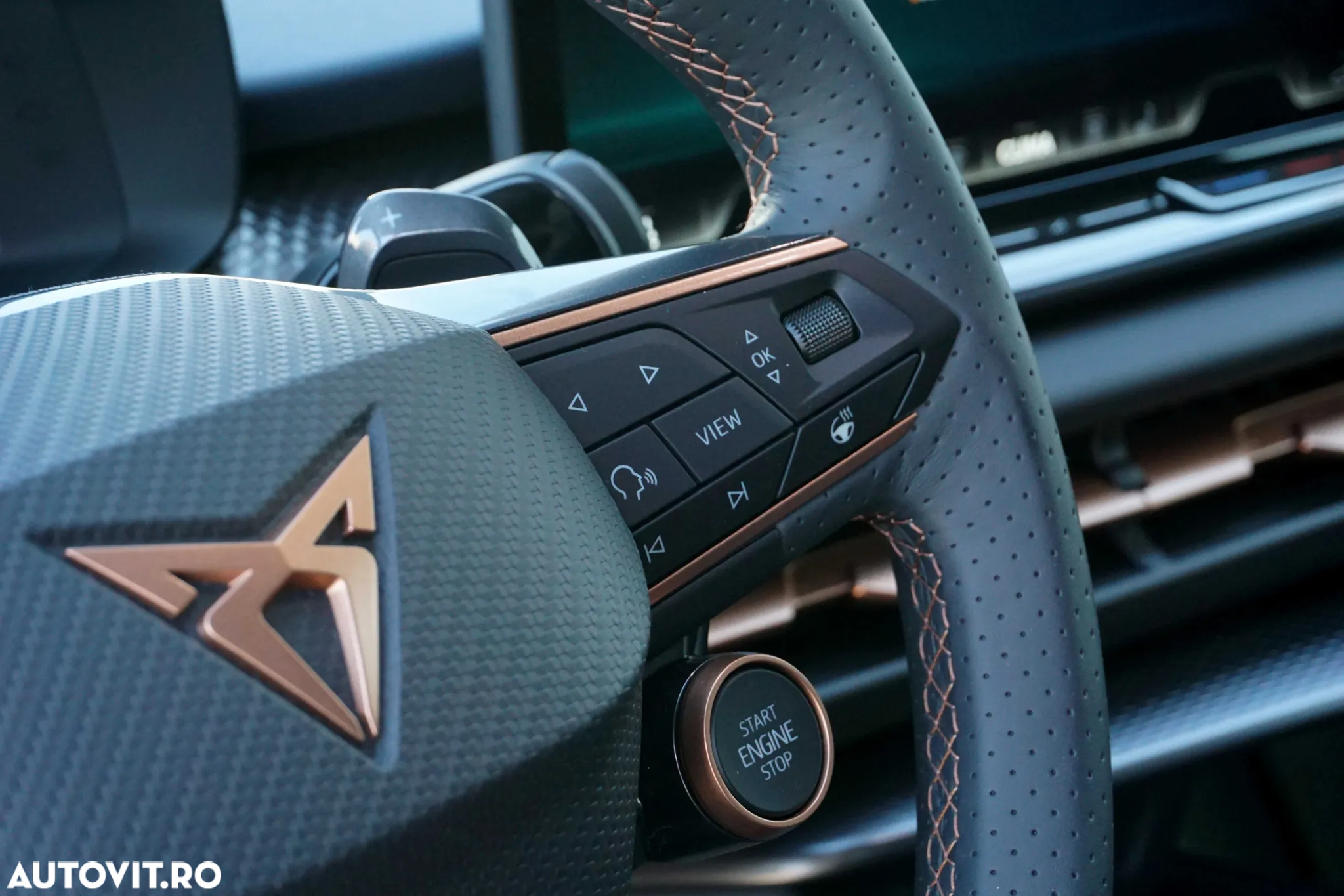 Cupra Terramar - 17