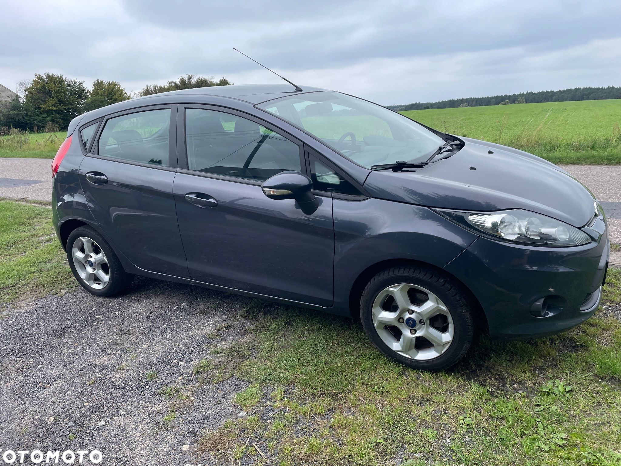 Ford Fiesta - 1
